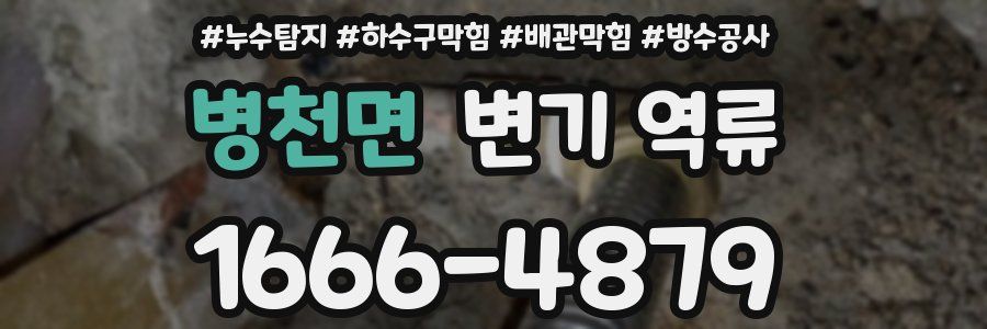 병천면 변기 역류