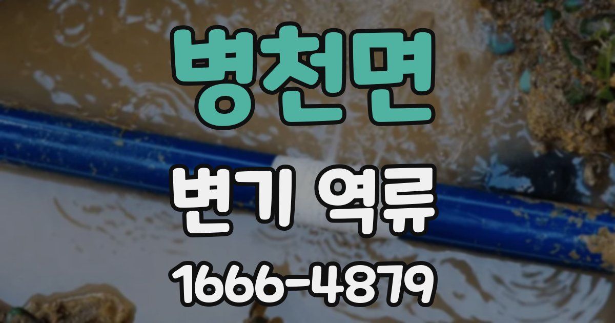 병천면 변기 역류