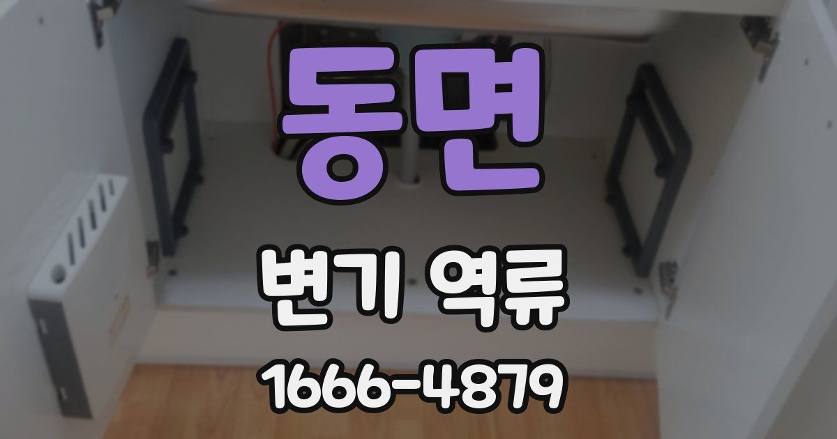 동면 변기 역류