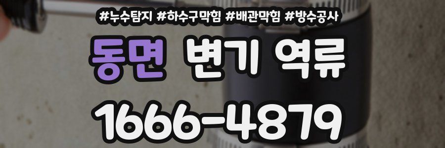 동면 변기 역류