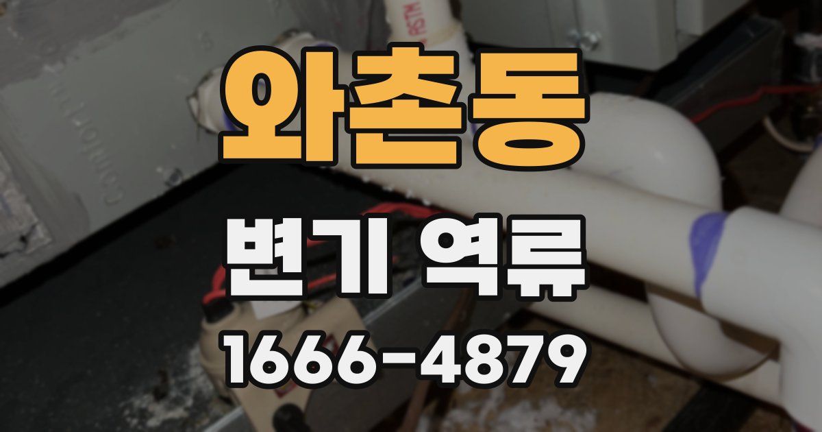 와촌동 변기 역류
