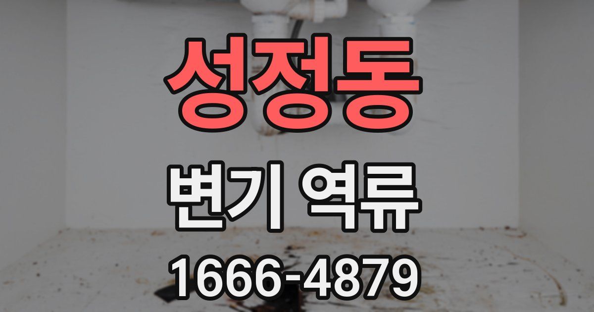 성정동 변기 역류