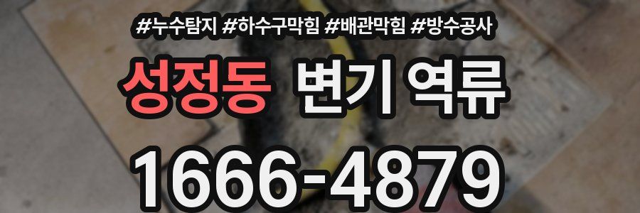 성정동 변기 역류