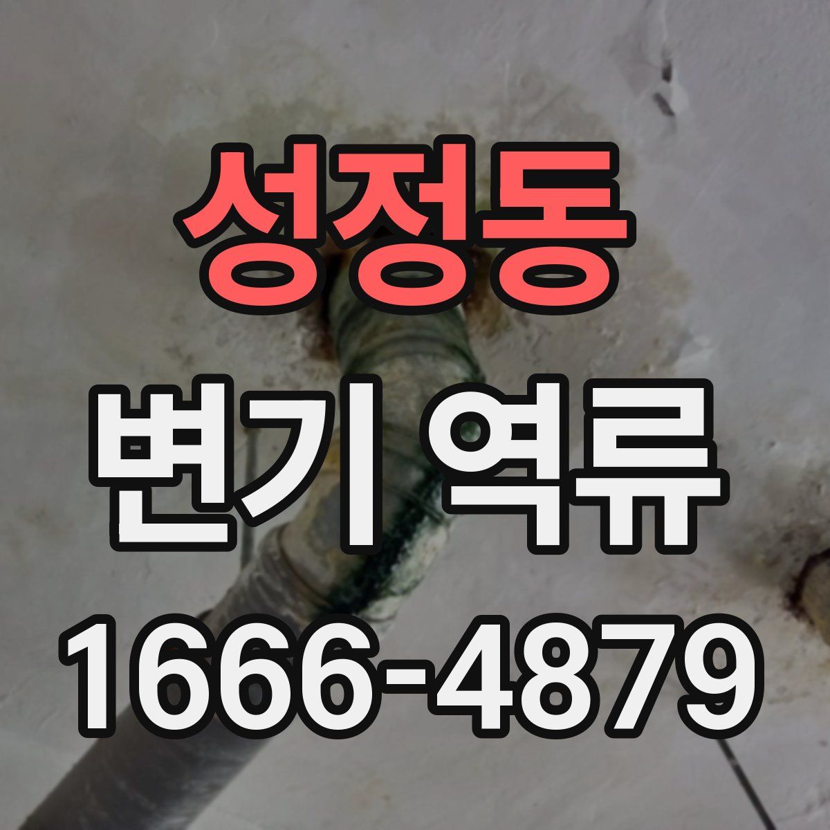 성정동 변기 역류