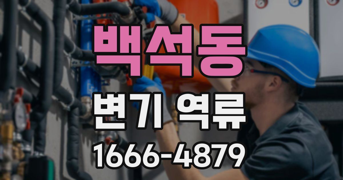 백석동 변기 역류