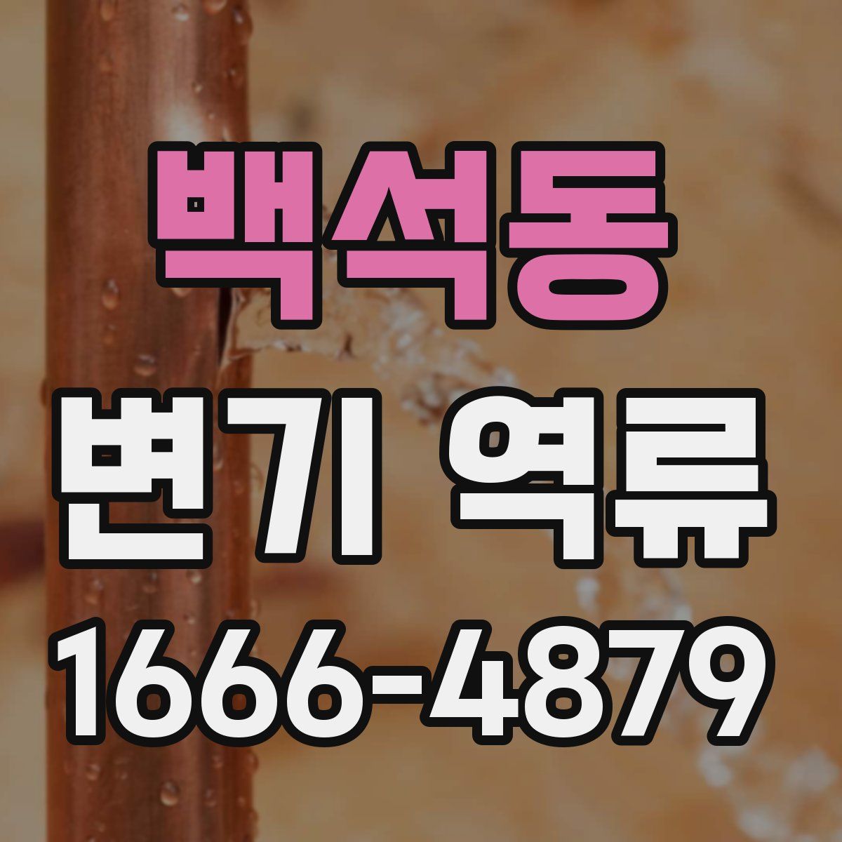 백석동 변기 역류