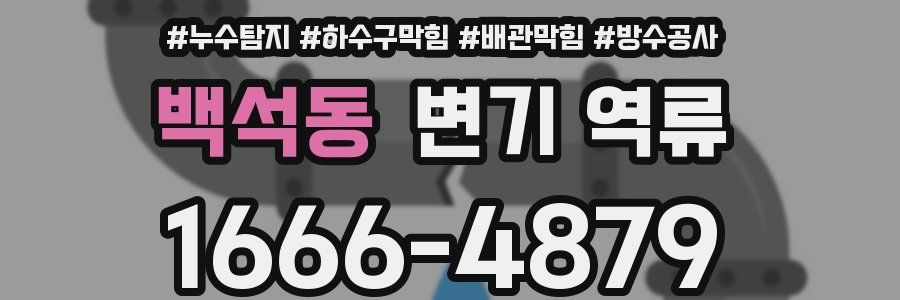 백석동 변기 역류