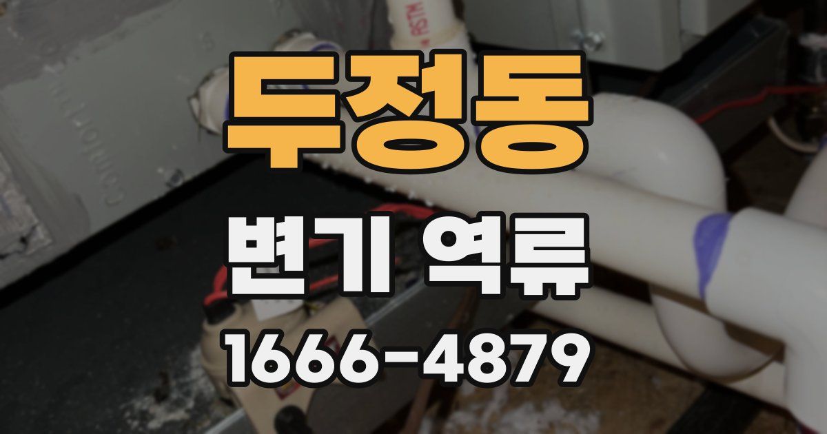 두정동 변기 역류