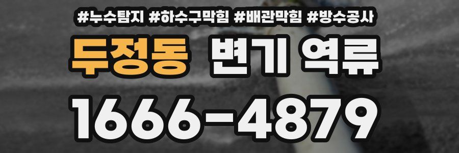 두정동 변기 역류