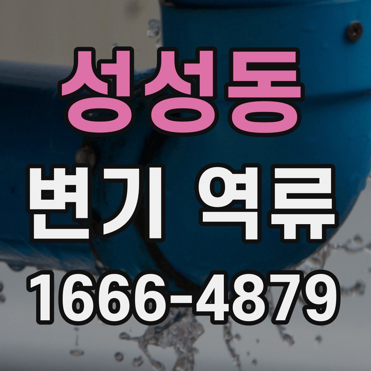 성성동 변기 역류