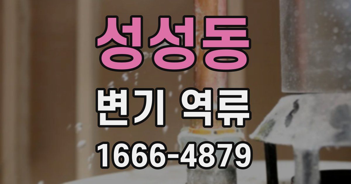 성성동 변기 역류