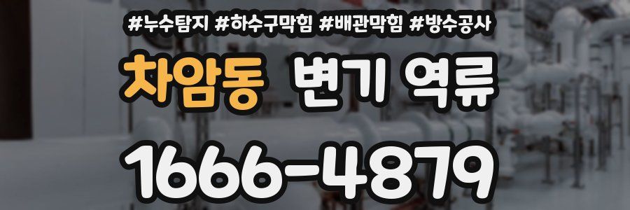 차암동 변기 역류