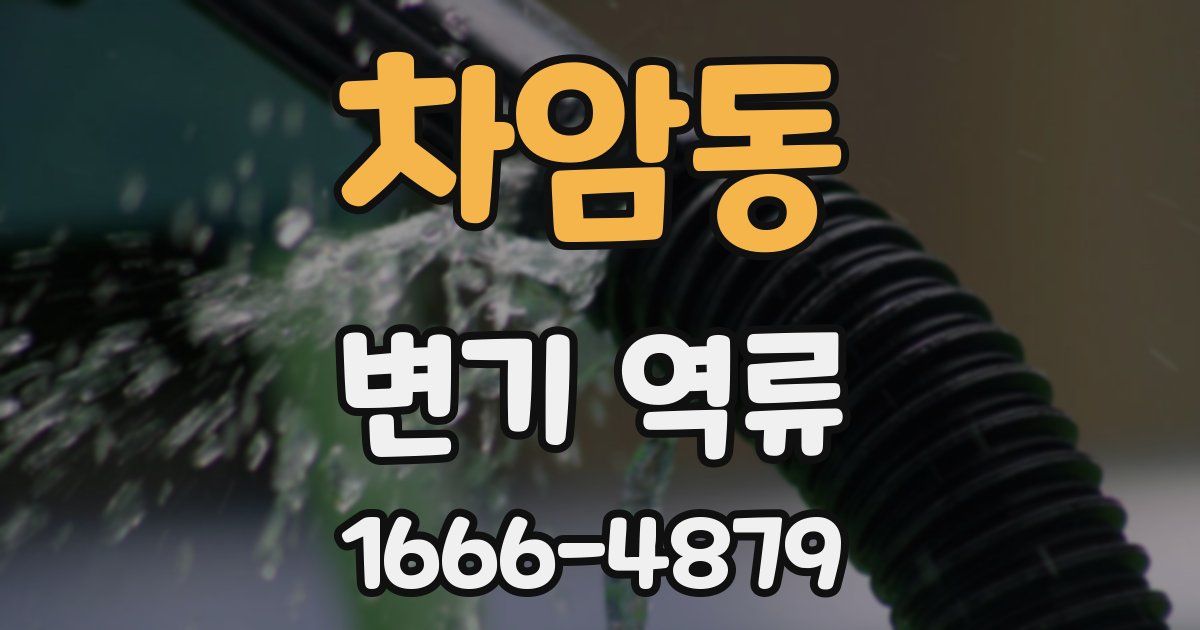 차암동 변기 역류