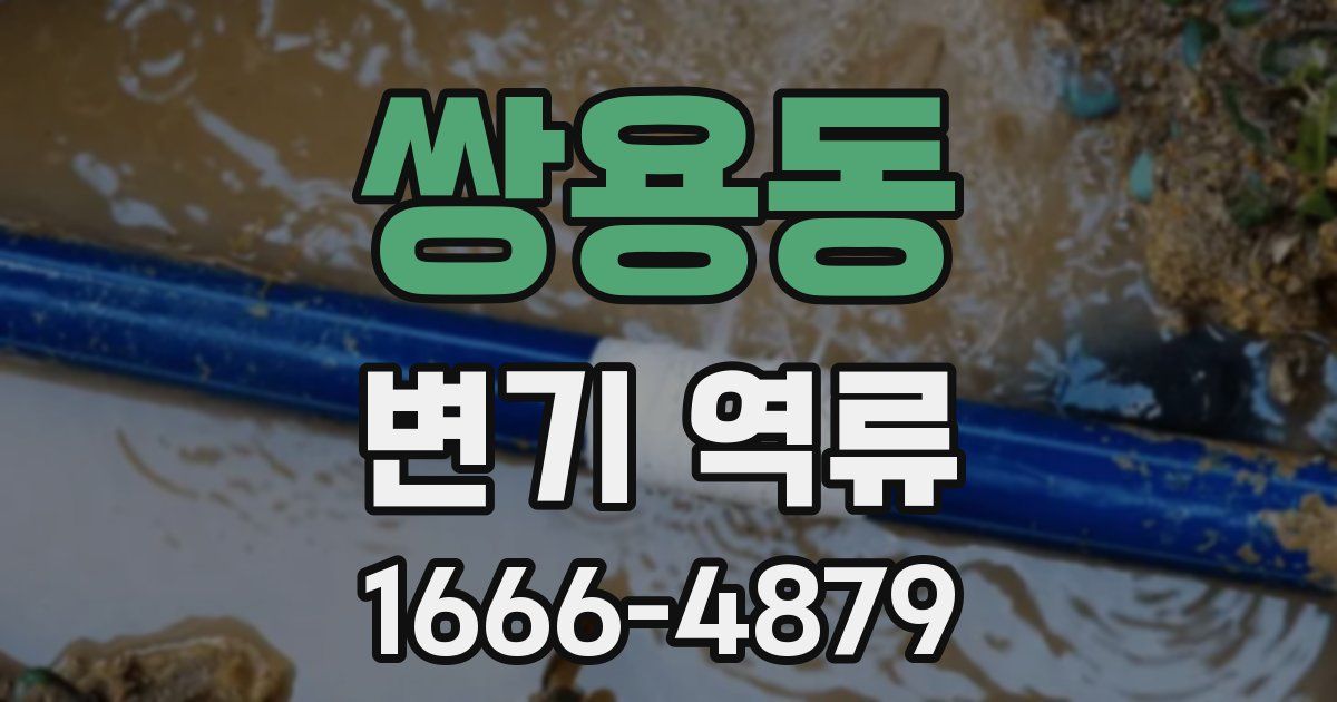 쌍용동 변기 역류