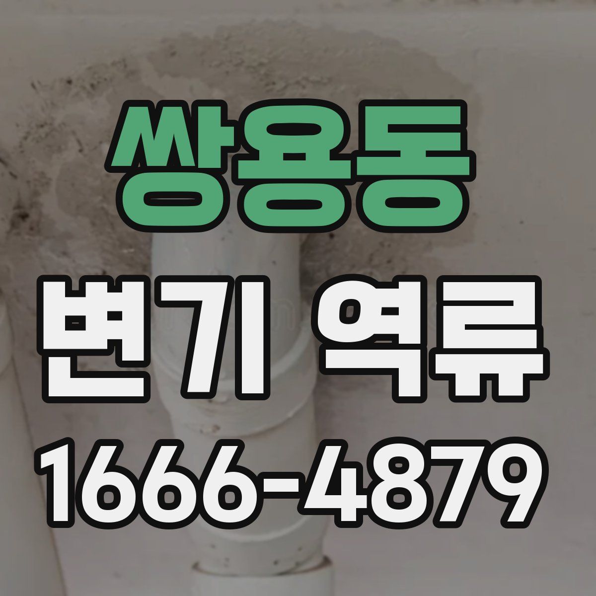 쌍용동 변기 역류