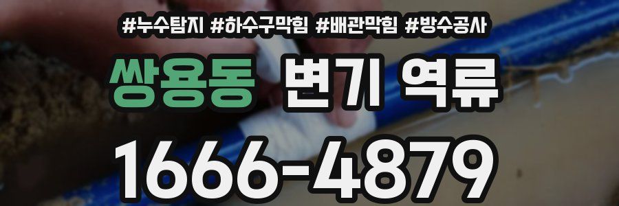 쌍용동 변기 역류