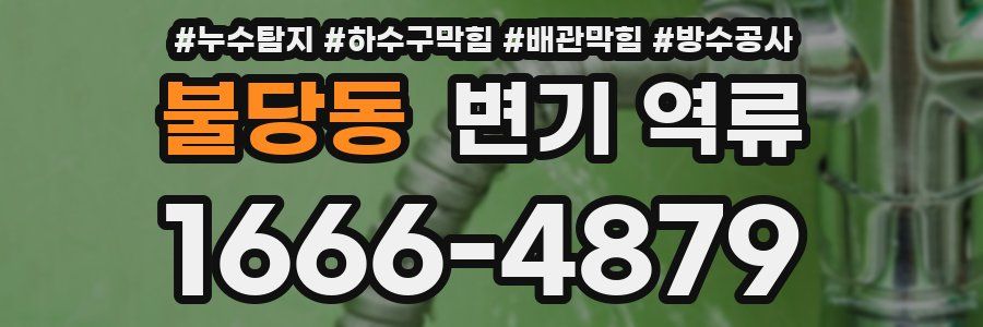 불당동 변기 역류