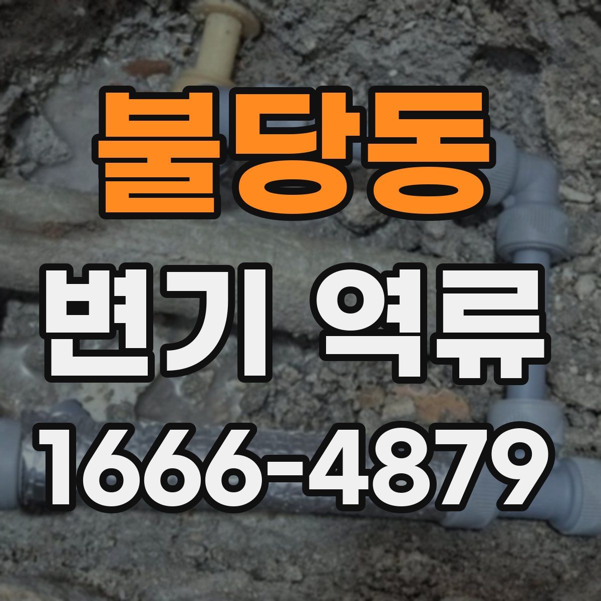 불당동 변기 역류