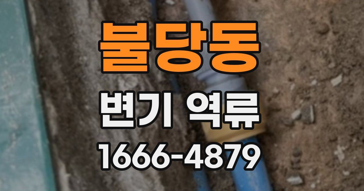 불당동 변기 역류