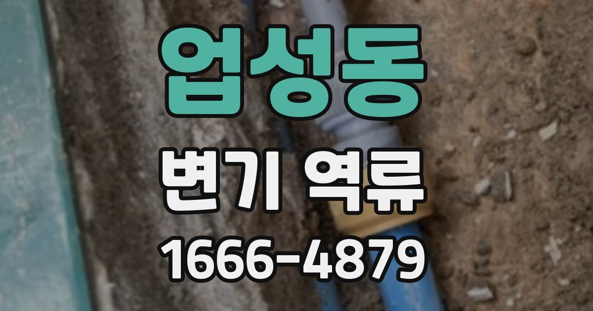 업성동 변기 역류
