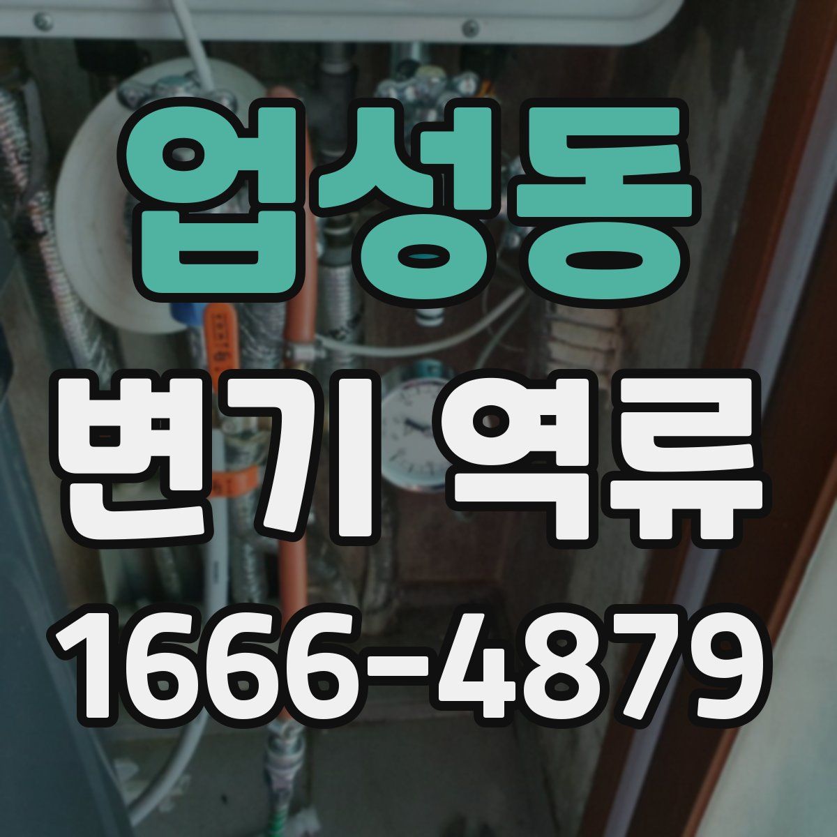 업성동 변기 역류