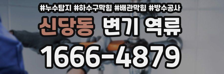 신당동 변기 역류