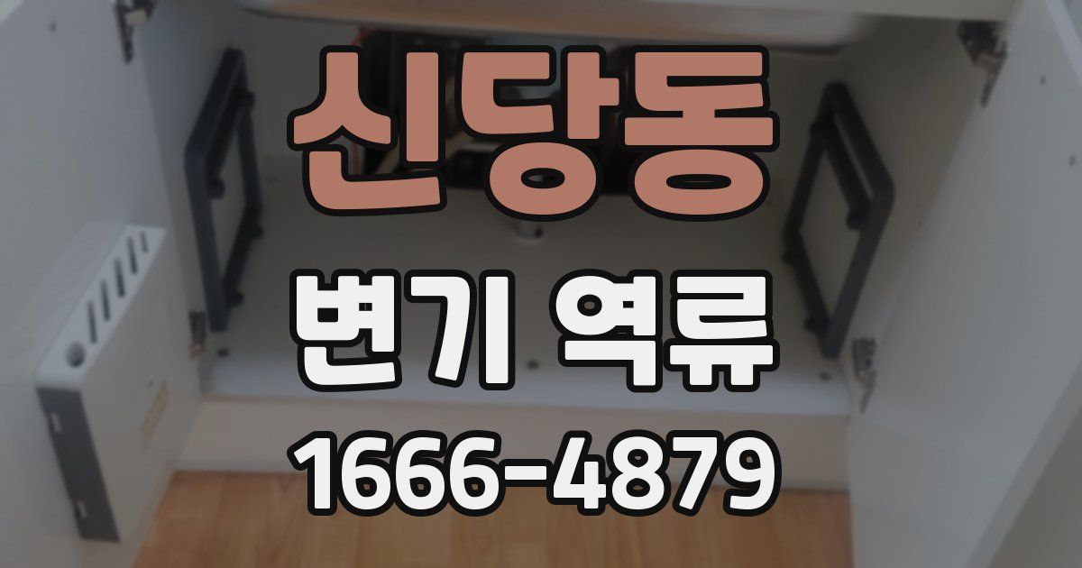 신당동 변기 역류
