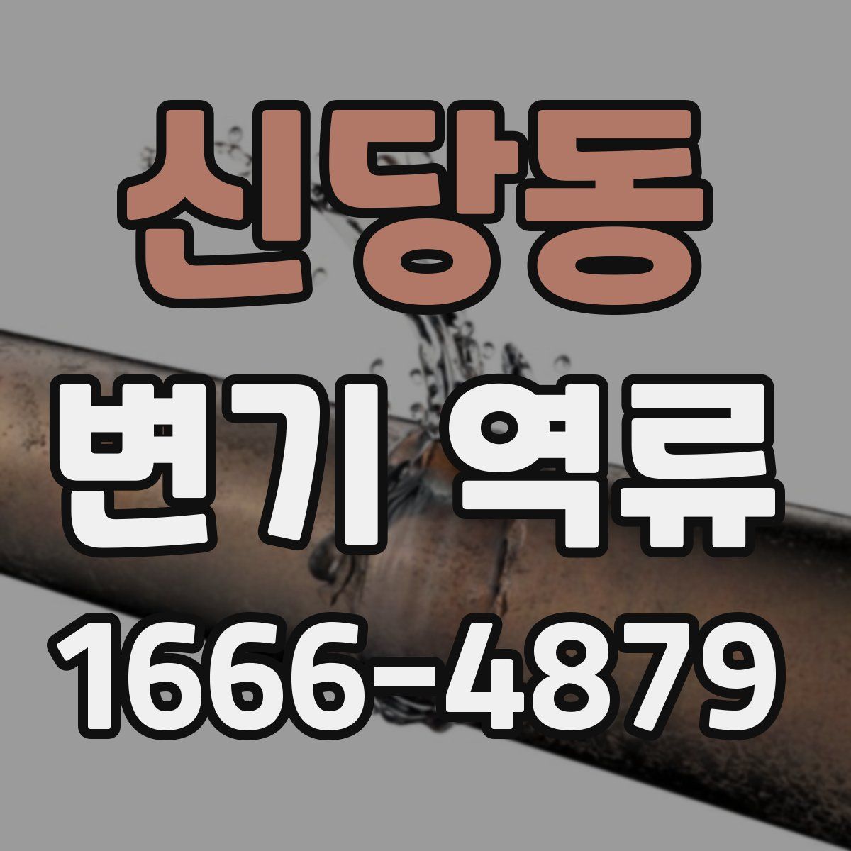 신당동 변기 역류