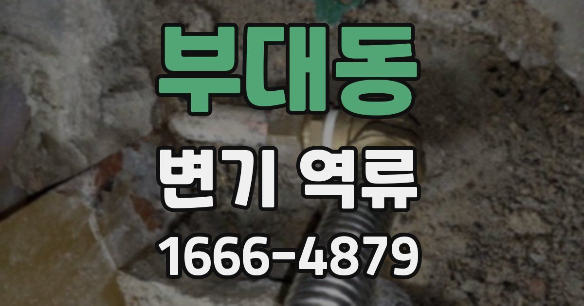 부대동 변기 역류