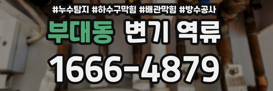 부대동 변기 역류