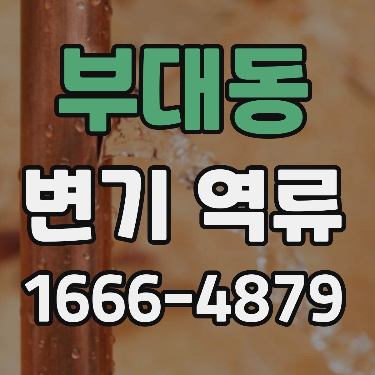 부대동 변기 역류