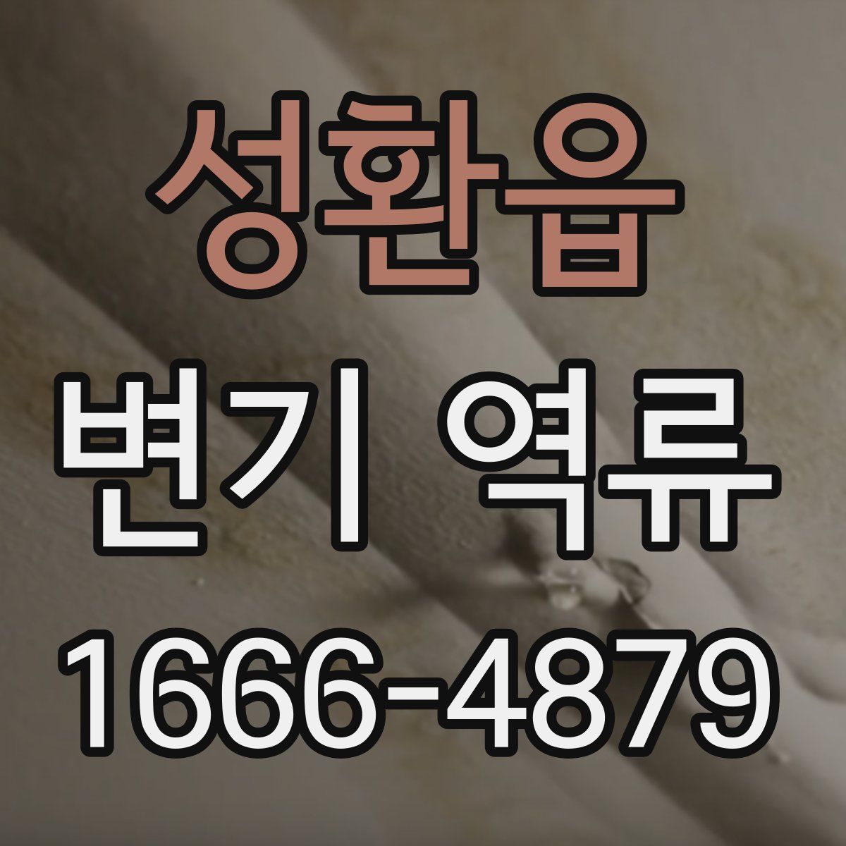 성환읍 변기 역류
