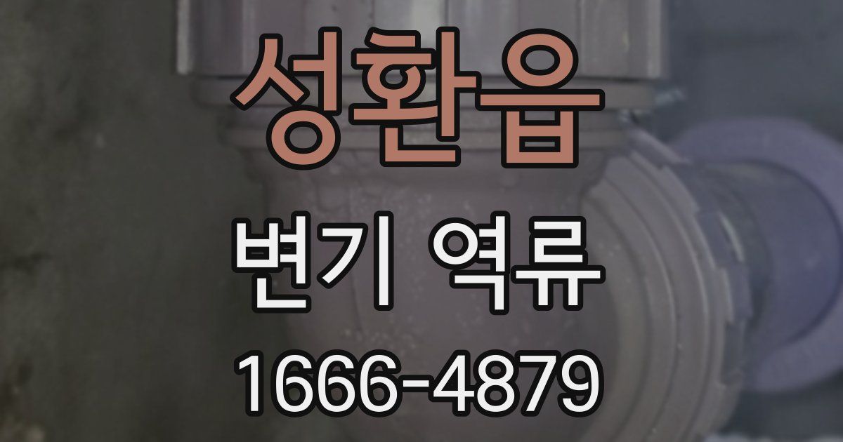 성환읍 변기 역류