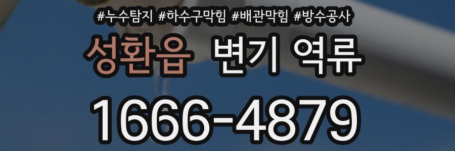 성환읍 변기 역류