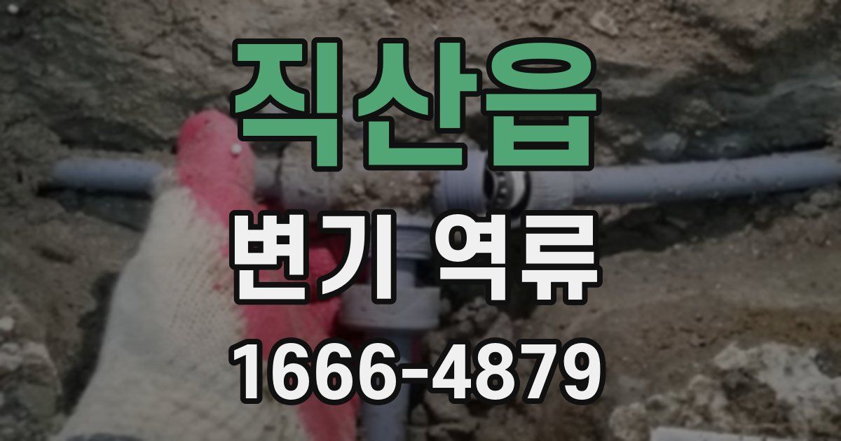 직산읍 변기 역류