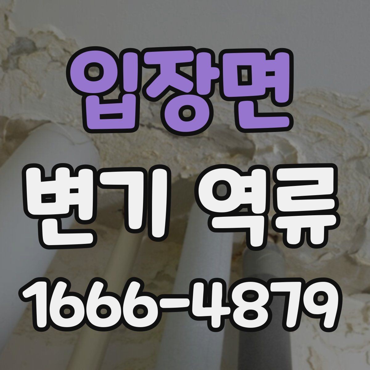 입장면 변기 역류 막힘과 함께 나타나는 징후
