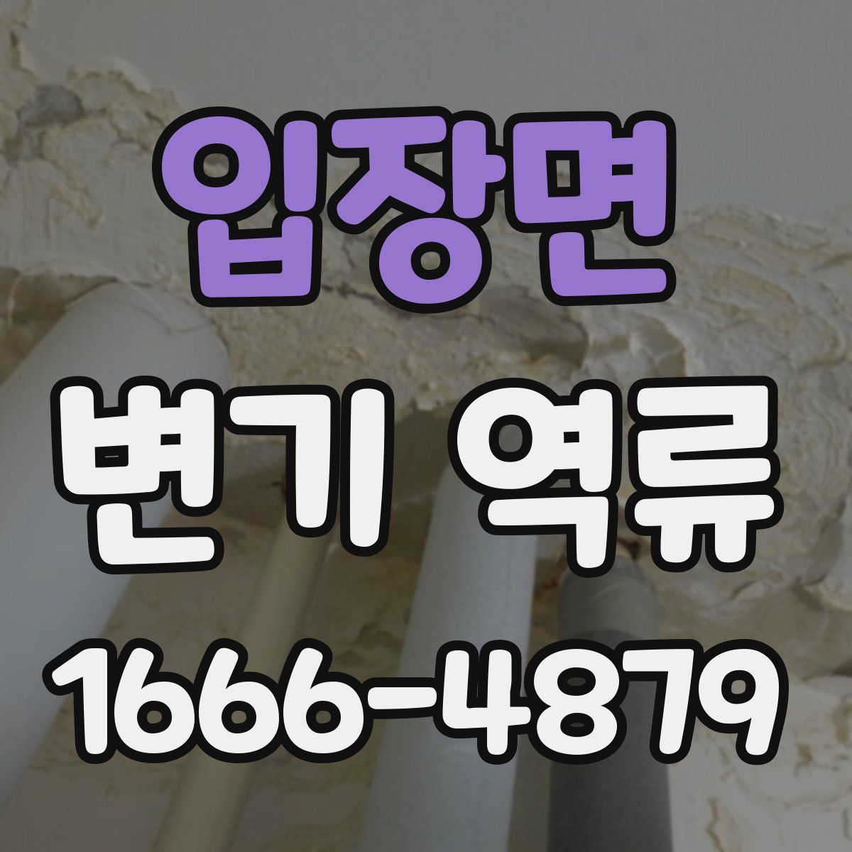입장면 변기 역류
