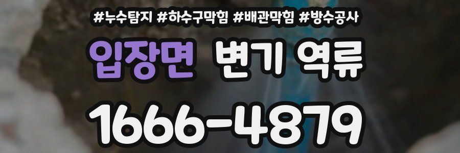 입장면 변기 역류