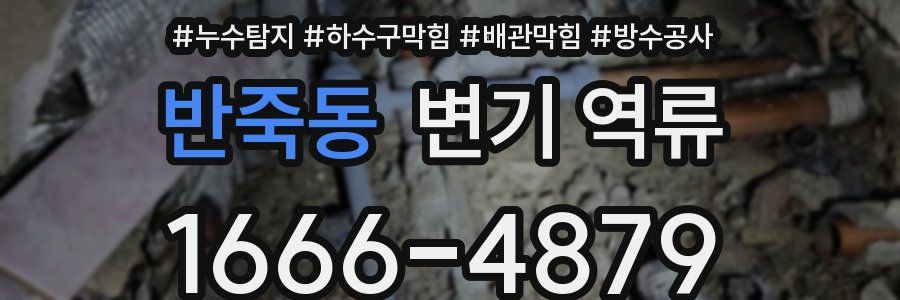반죽동 변기 역류