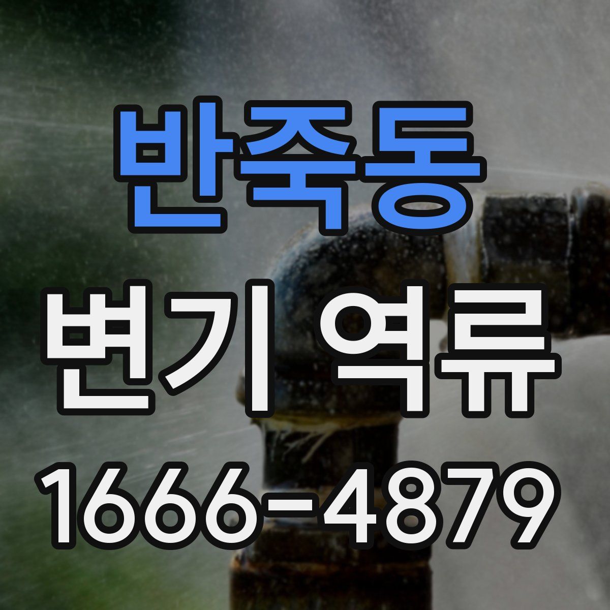 반죽동 변기 역류