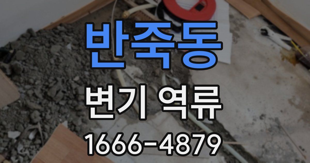 반죽동 변기 역류
