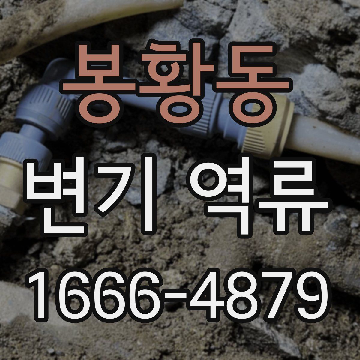 봉황동 변기 역류
