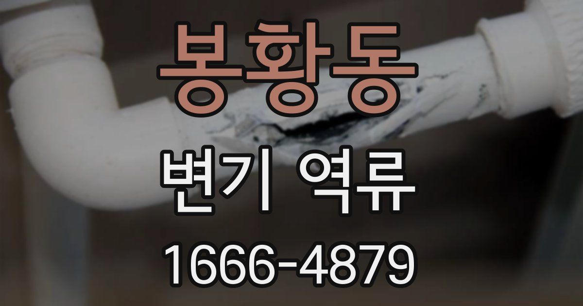 봉황동 변기 역류