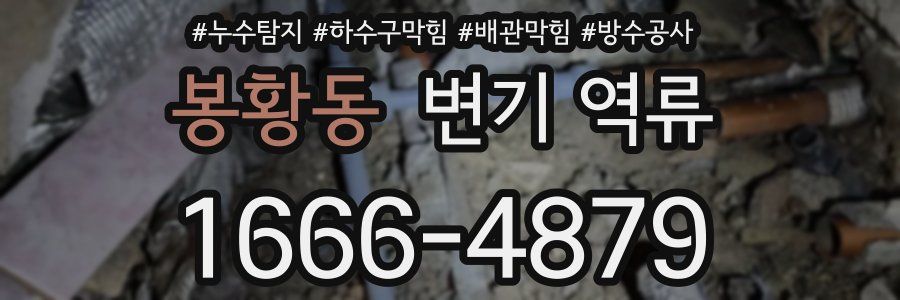 봉황동 변기 역류