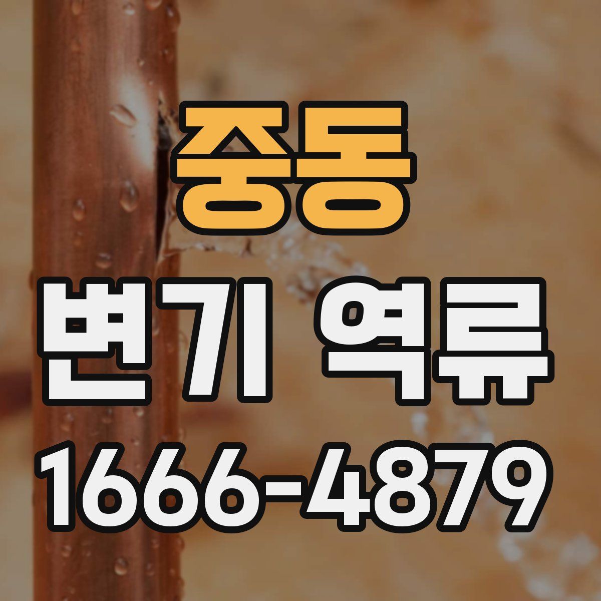 중동 변기 역류