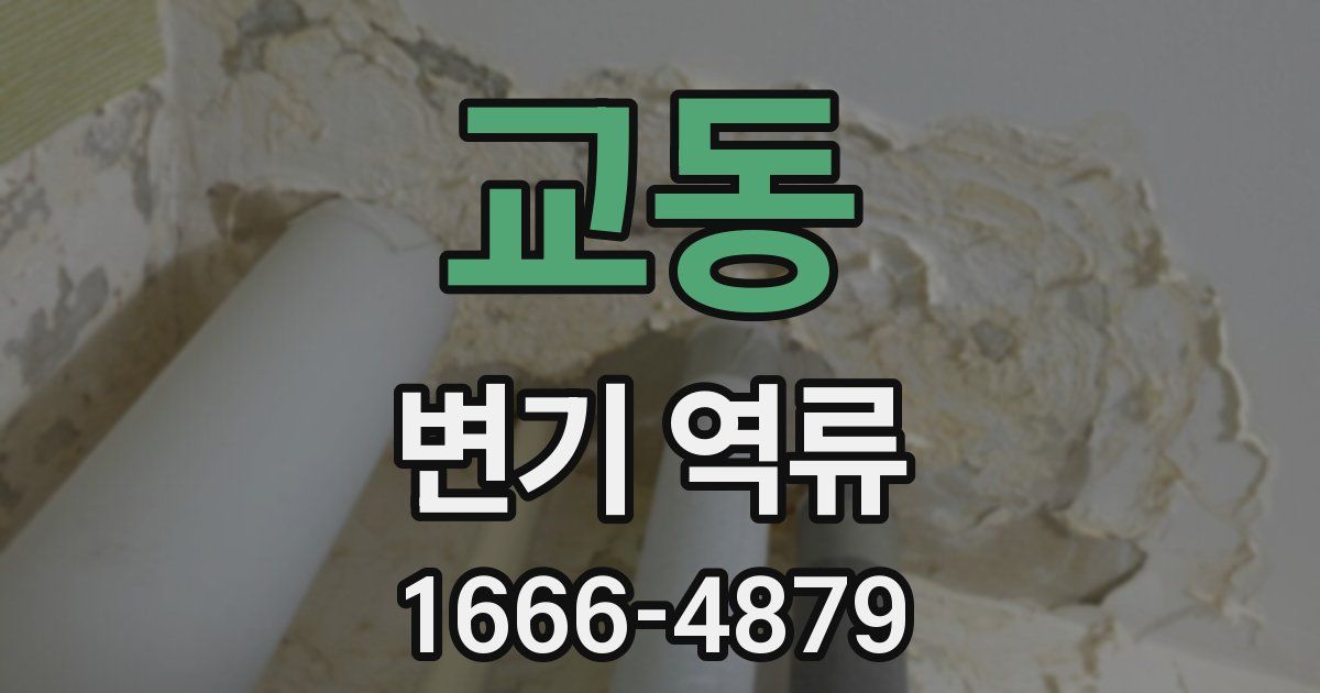 교동 변기 역류
