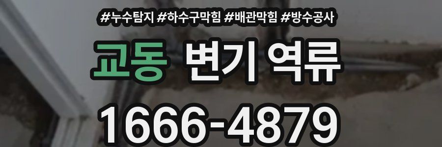교동 변기 역류
