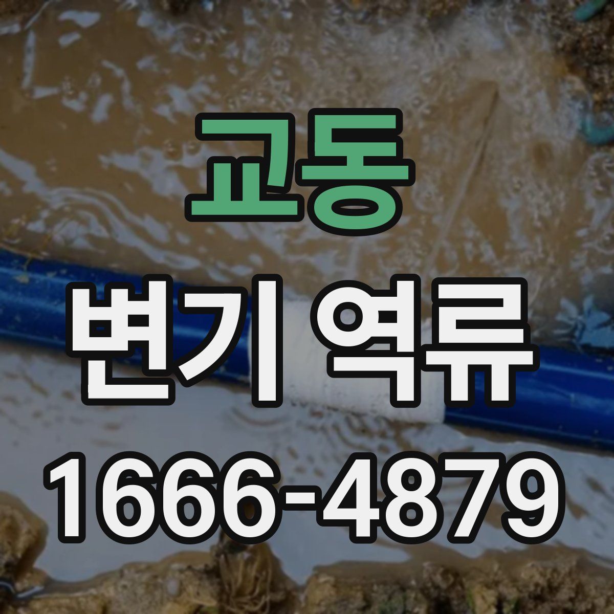 교동 변기 역류