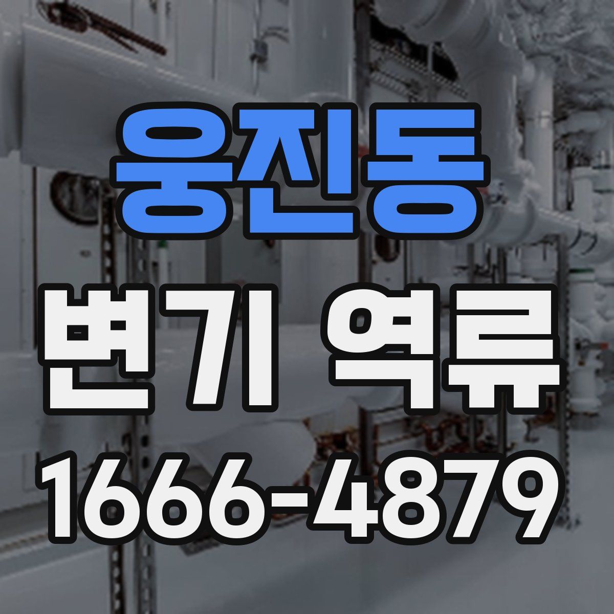 웅진동 변기 역류