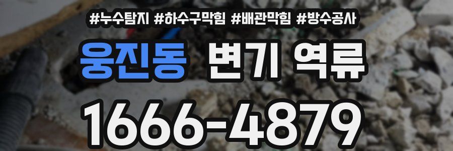 웅진동 변기 역류